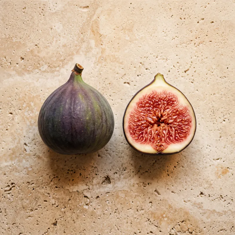 Fig