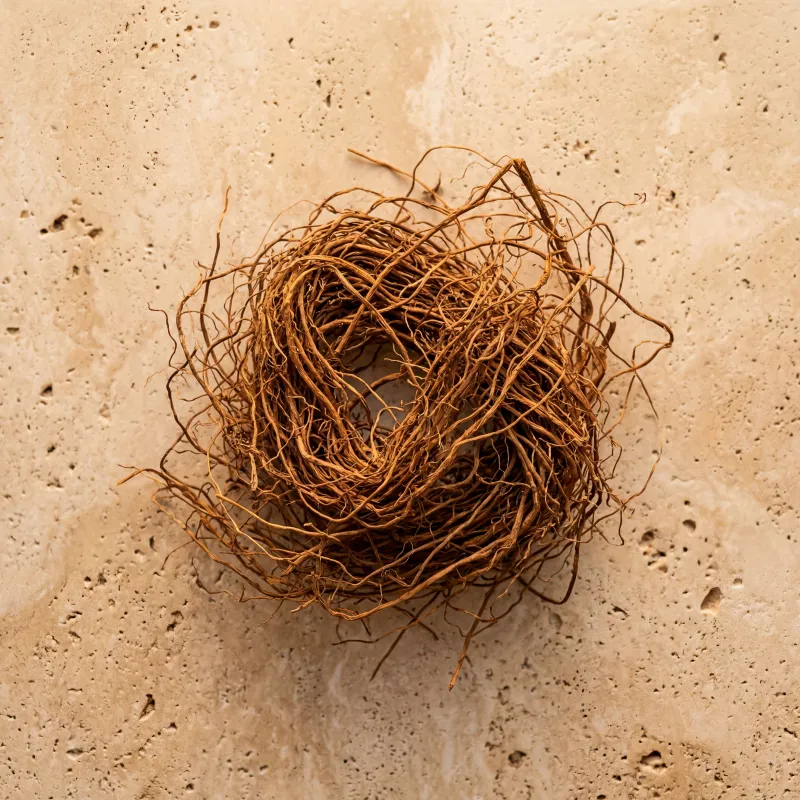 Vetiver